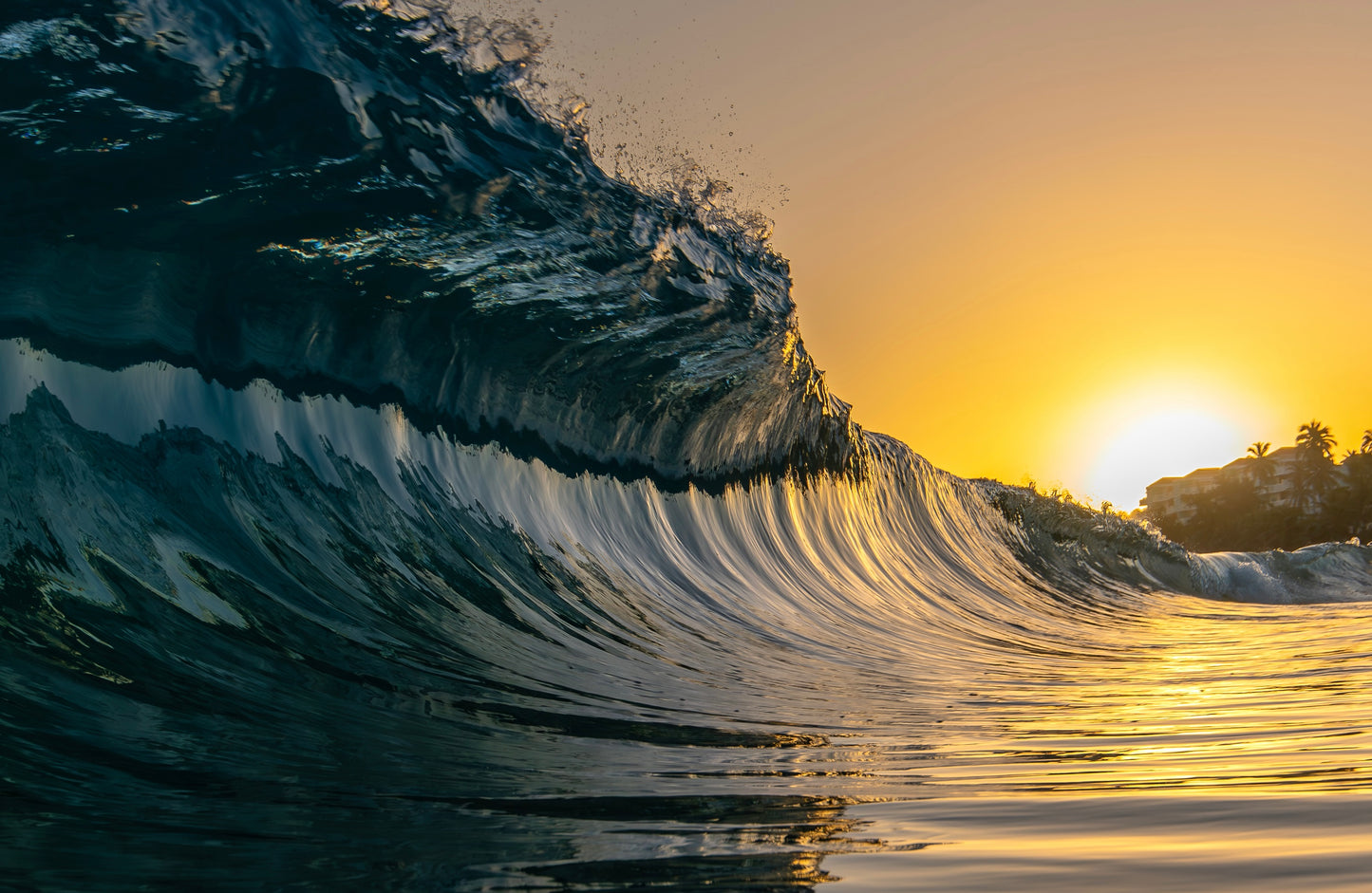Wave of Light
