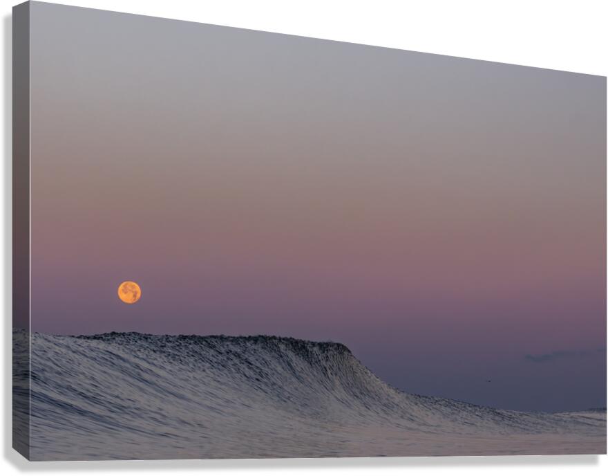 2470637 :: Giclée Stretched Canvas Print