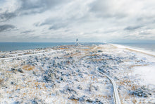 Load image into Gallery viewer, Frozen Fire Island