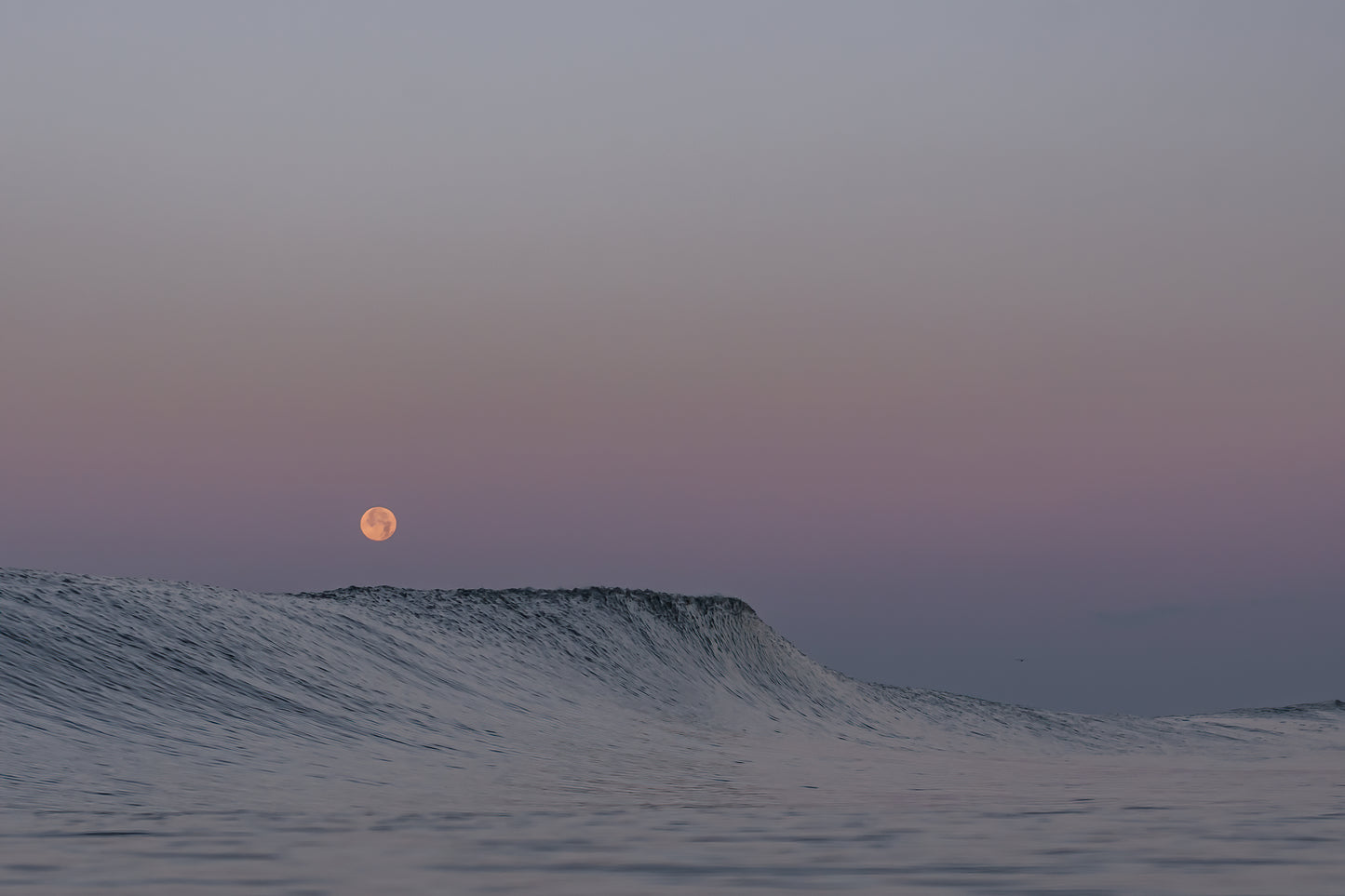 Full Moon Set