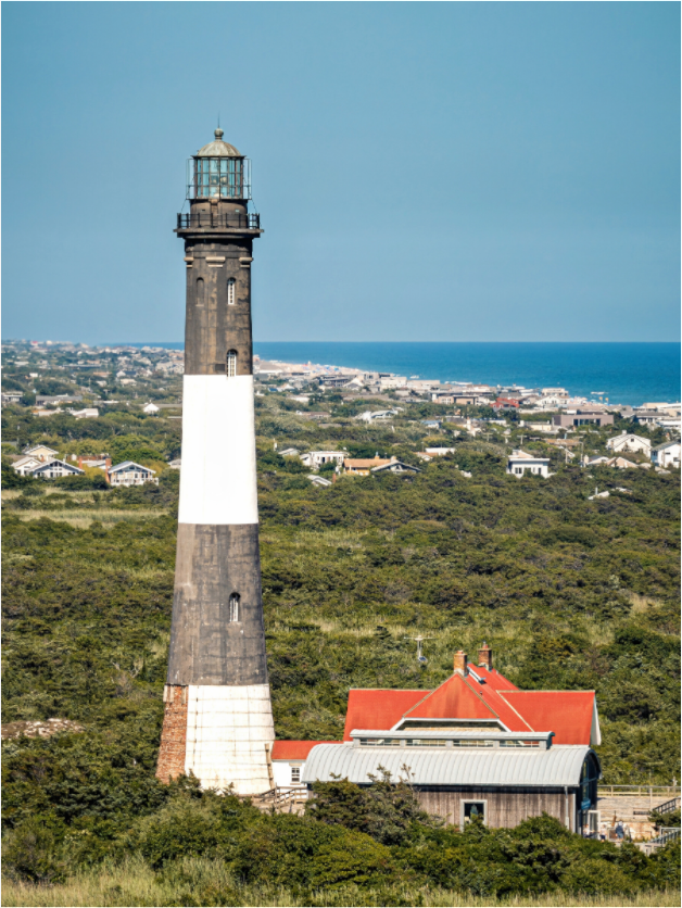 Main image Sentinel of the Dunes