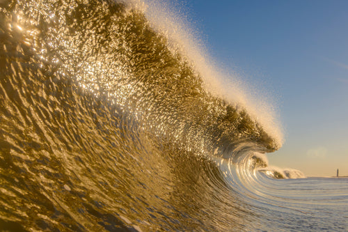 Golden Dance