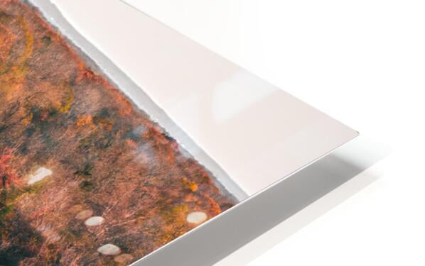 2475566 :: HD Sublimation Metal Print