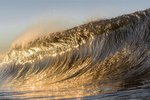 Gold Rush