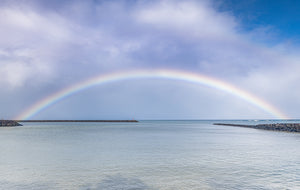 Halewia Rainbow