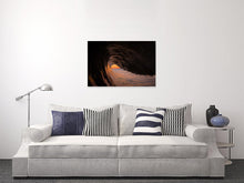 Load image into Gallery viewer, Into the light
