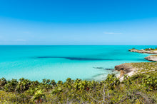 Load image into Gallery viewer, Tropical Hue