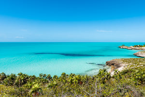 Tropical Hue